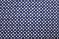 Preview: Designerbaumwollstoff Dots blau/weiß (10 cm)