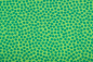 Preview: Baumwollstoff Dotty grün (10 cm)