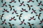Preview: Designer- Baumwollstoff Parrot Play hellblau (10 cm)