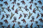 Preview: Baumwollstoff Marvel's Guardians of the Galaxy hellblau (10 cm)