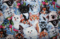 Preview: Designerbaumwolle Kitten & Flowers (10 cm)
