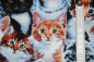 Preview: Designerbaumwolle Kitten & Flowers (10 cm)