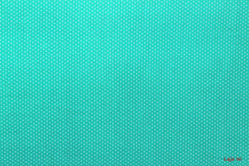 Baumwolle Punkte mint/weiß (10 cm)
