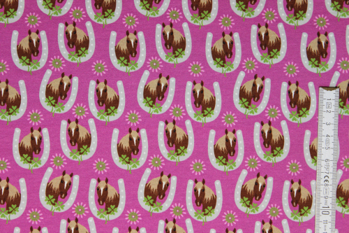 Preview: Sweaty Horseshoe (10 cm)