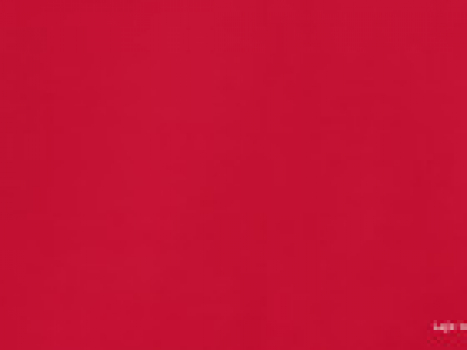 Sommersweat unangerauht rot (10 cm)