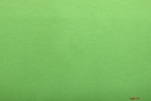 Stenzo Jersey grün (10 cm)
