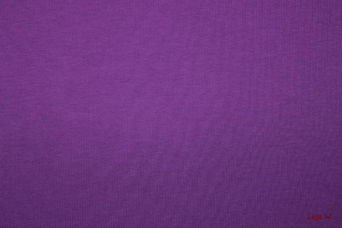 Stenzo Jersey lila (10 cm)