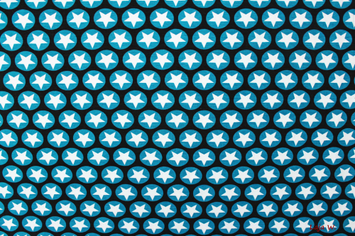 Maxi Stars Jersey schwarz (10 cm)