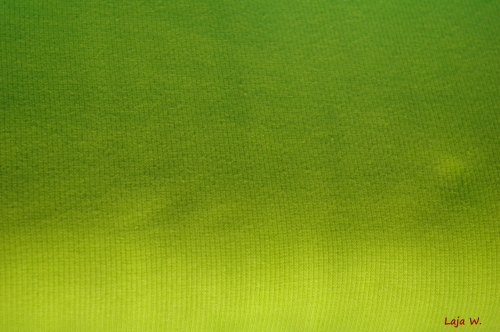 Preview: Bündchen Hilco hellgrün (10 cm)