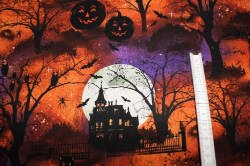 Designerbaumwollstoff Frightful night Scenic (10 cm)