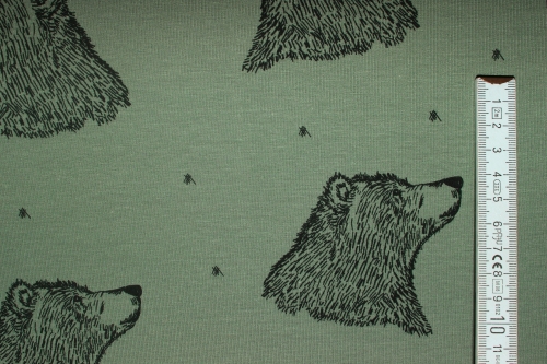 Stretch-Sweat "Curious Bear" olive (10 cm)
