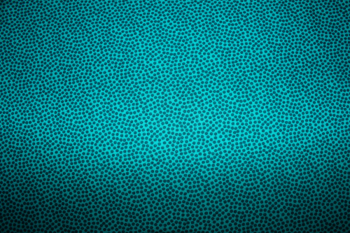 Preview: Baumwollstoff Dotty petrol (10 cm)