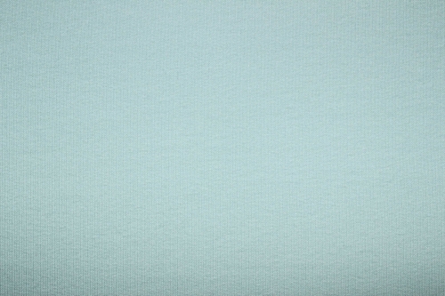 Preview: French Terry Liso  pastellmint (10 cm)