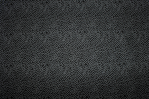 Designerbaumwolle Garden Pindot schwarz/weiß (10 cm)