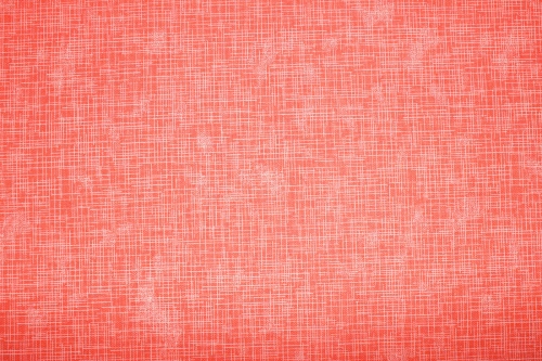 Designerbaumwolle Quilters Linen koralle  (10 cm)
