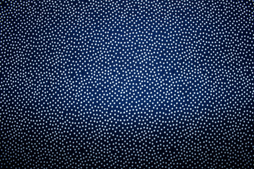 Preview: Designerbaumwolle Garden Pindot dunkelblau/weiß (10 cm)