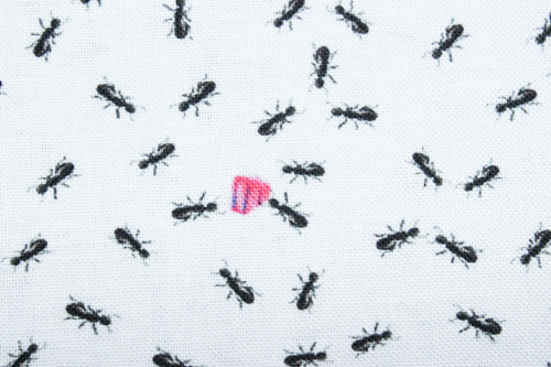 Designerbaumwolle Ameisen weiß (10 cm)