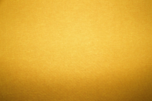 Preview: Leinen-/ Baumwollgemisch Essex Yarn Dyed  curry (10 cm)