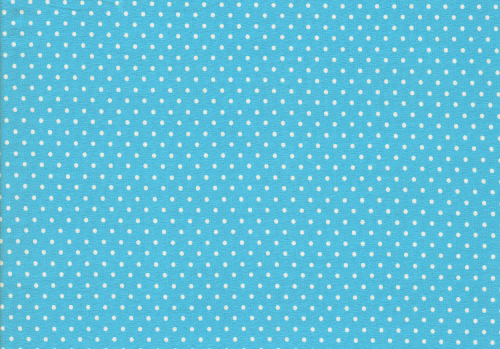Stretch- Jersey Pünktchen helltürkis (10 cm)