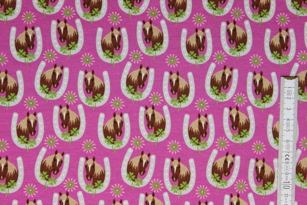 Sweaty Horseshoe (10 cm)