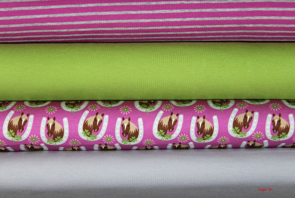 Sweaty Horseshoe (10 cm)