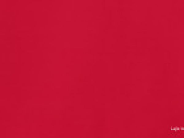 Sommersweat unangerauht rot (10 cm)