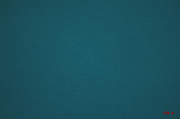 Sommersweat unangerauht petrol (10 cm)