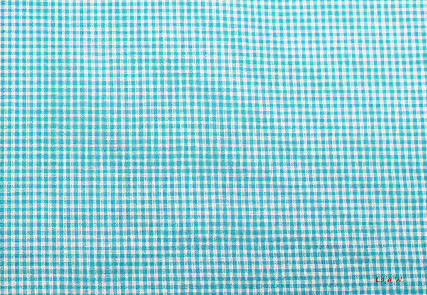 Baumwolle Vichy Mini türkis (10 cm)