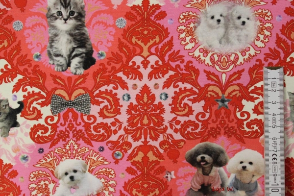 Jersey Miaou Dix (10 cm)