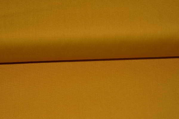 Pure Elements Turmeric (10 cm)