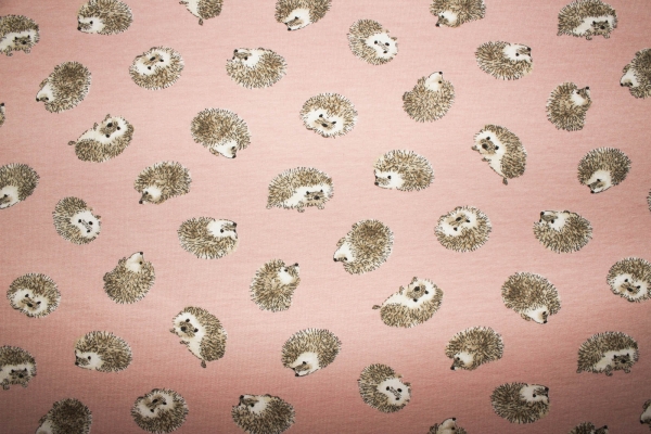 French Terry Felpi  lachsrosa (10 cm)