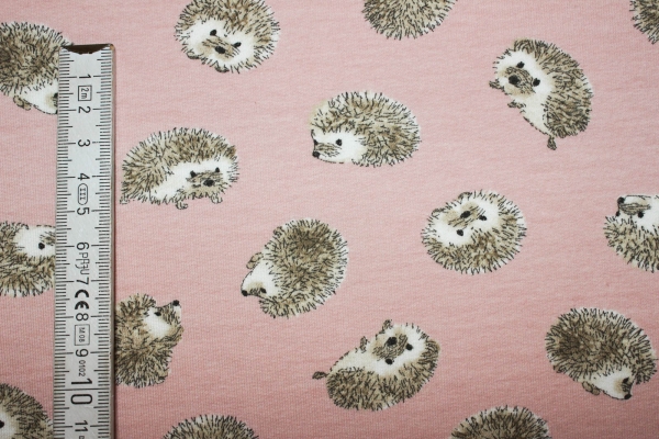 French Terry Felpi  lachsrosa (10 cm)