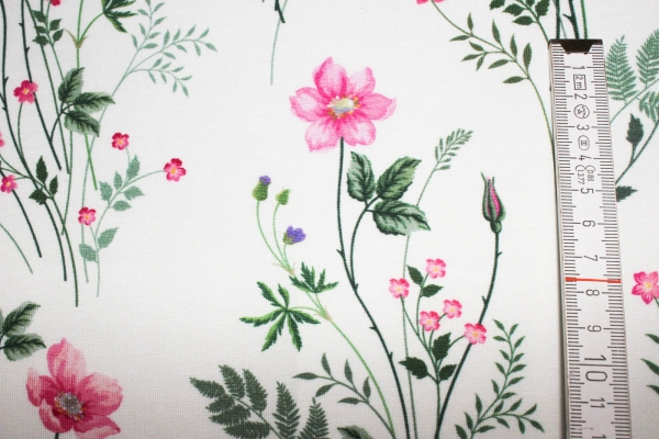 Jersey Wildrosen weiß (10 cm)