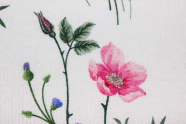 Jersey Wildrosen weiß (10 cm)