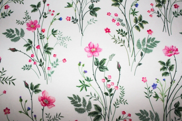 Jersey Wildrosen weiß (10 cm)