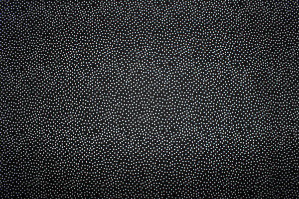 Designerbaumwolle Garden Pindot schwarz/weiß (10 cm)