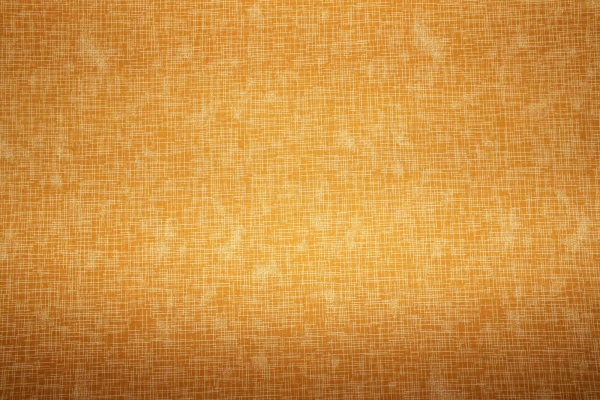 Designerbaumwolle Quilters Linen senf  (10 cm)