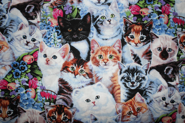 Designerbaumwolle Kitten & Flowers (10 cm)