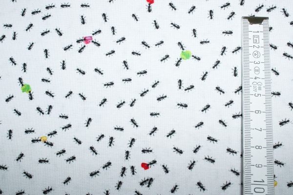 Designerbaumwolle Ameisen weiß (10 cm)