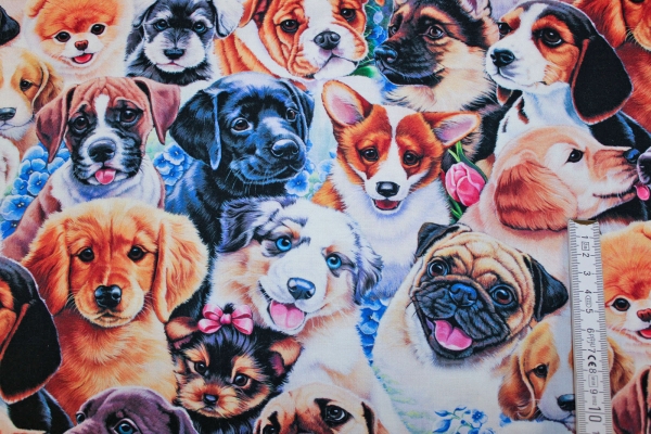 Designerbaumwolle Dogs (10 cm)