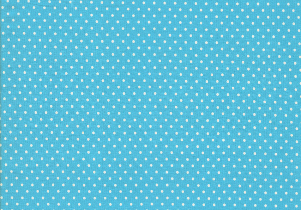Stretch- Jersey Pünktchen helltürkis (10 cm)